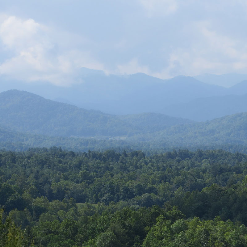 Blue Ridge Parkway – Discover Charlottesville