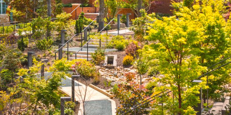 2026-Tahija Arboretum & LaCross Botanical Gardens-2