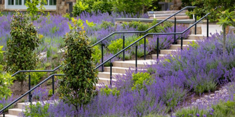 2026-Tahija Arboretum & LaCross Botanical Gardens-3