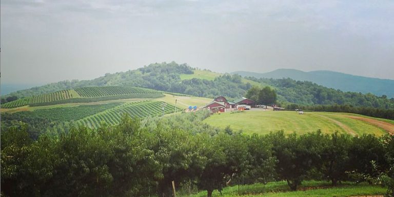 Carter-Mountain-Orchard-vista