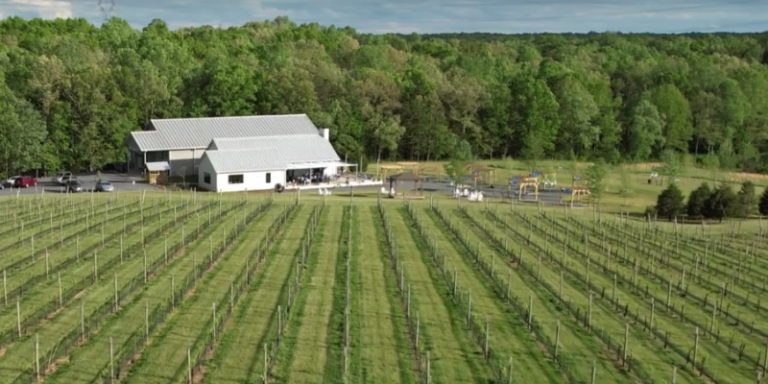 Cunningham-Creek-Winery-Tasting-Room-and-Vineyard-800x400