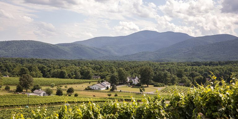 Veritas-Vineyard-Winery-Tasting-Room-Mountain-View-800x400